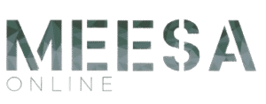 MeeSa Online Logo kopie